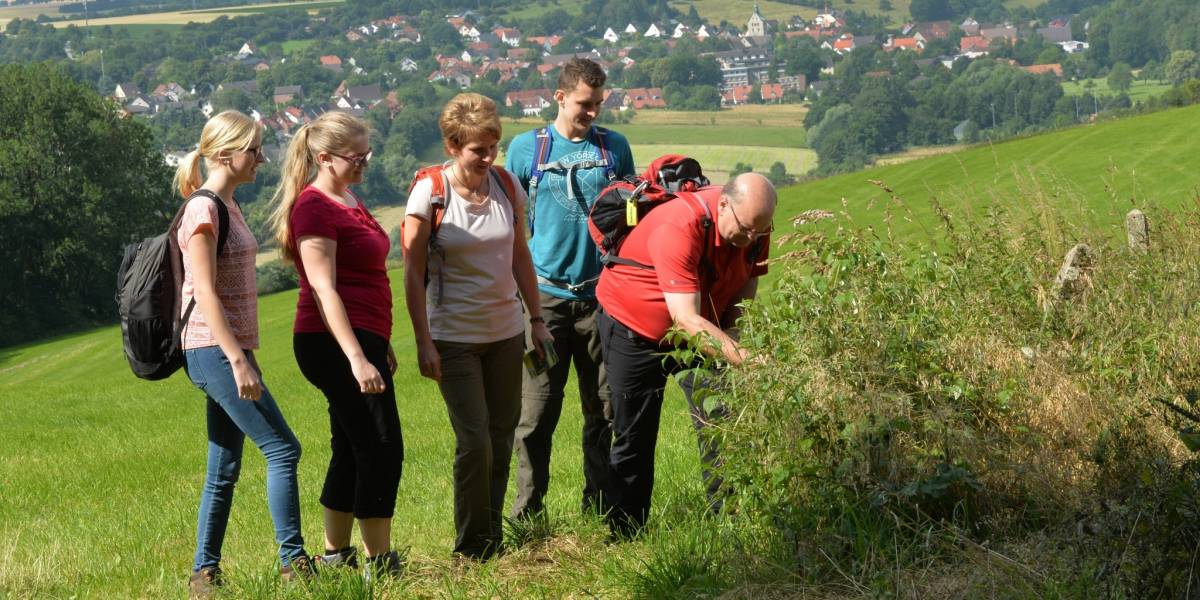 Paderborner Höhenweg